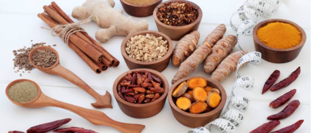 Ayurveda & Wellness Therapies – Holistic Healing & Detox